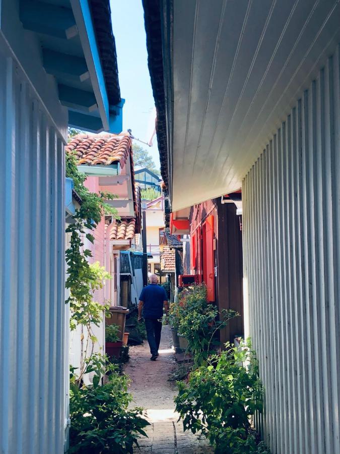 Chambres D'Hotes Any-Jean Louis A Mios Ngoại thất bức ảnh